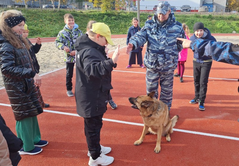 Оленегорский полицейский-кинолог показал мастерство и выучку служебной собаки