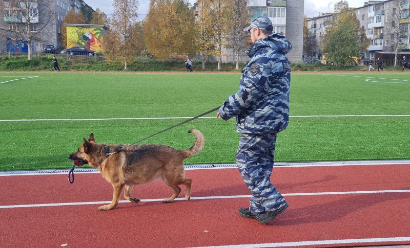 Оленегорский полицейский-кинолог показал мастерство и выучку служебной собаки